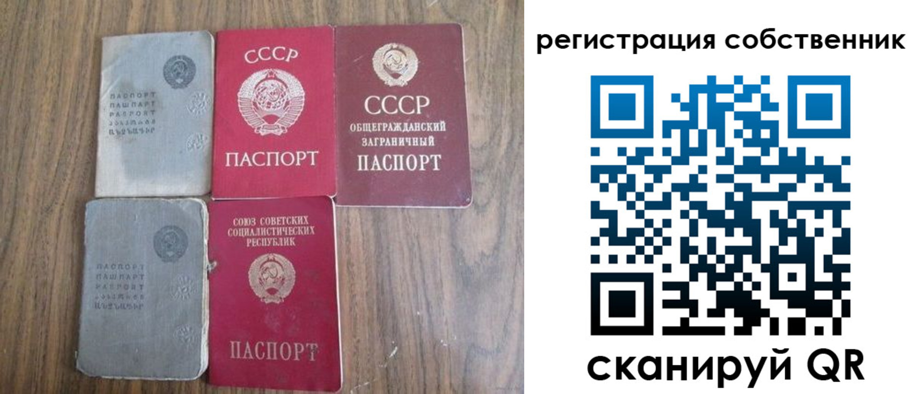прописка поиск в Камешково